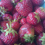 Strawberries at Lester's Farm Market