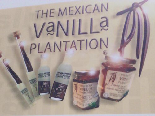 Mexican Vanilla Plantation