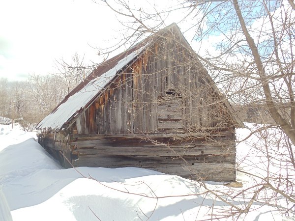 the sugarshack in the woods