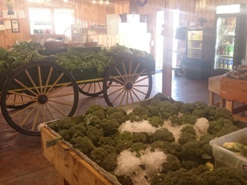 Lester's Farm Market