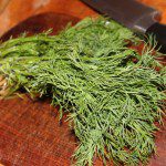 Dill for dolmathes