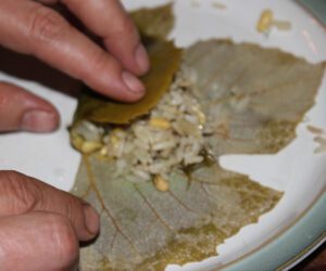 Folding Leaves One