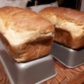 Purity Flour White Bread on tins to cool