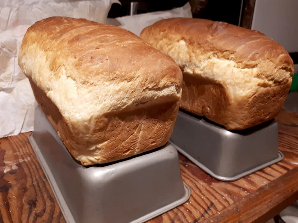 Purity Flour White Bread on tins to cool