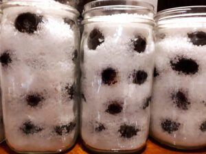 Olives in salt in jars