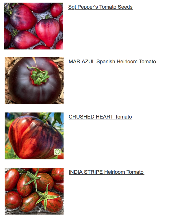 Some new tomatoes for 2023: Sgt Peppers Tomato Seeds, Mar Azul Sanish Heirloom Tomato, Crushed Heart. India Stripe