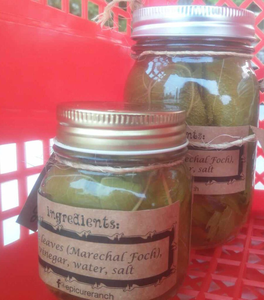 Canned Marechal Foch Grape Leaves from Epicure Ranch